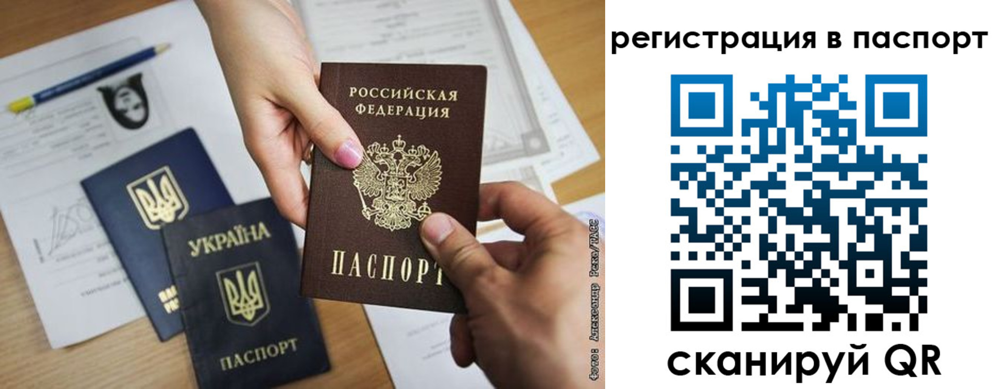 прописка поиск в Красногорске
